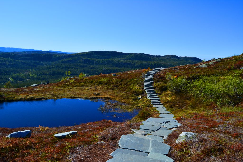 Madonnastien byr på mange små vann hvor våre firbente venner kan drikke og bade for å kjøle seg ned.