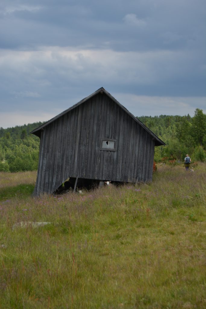 Spåtind er en fantastisk topptur med barn og hund.