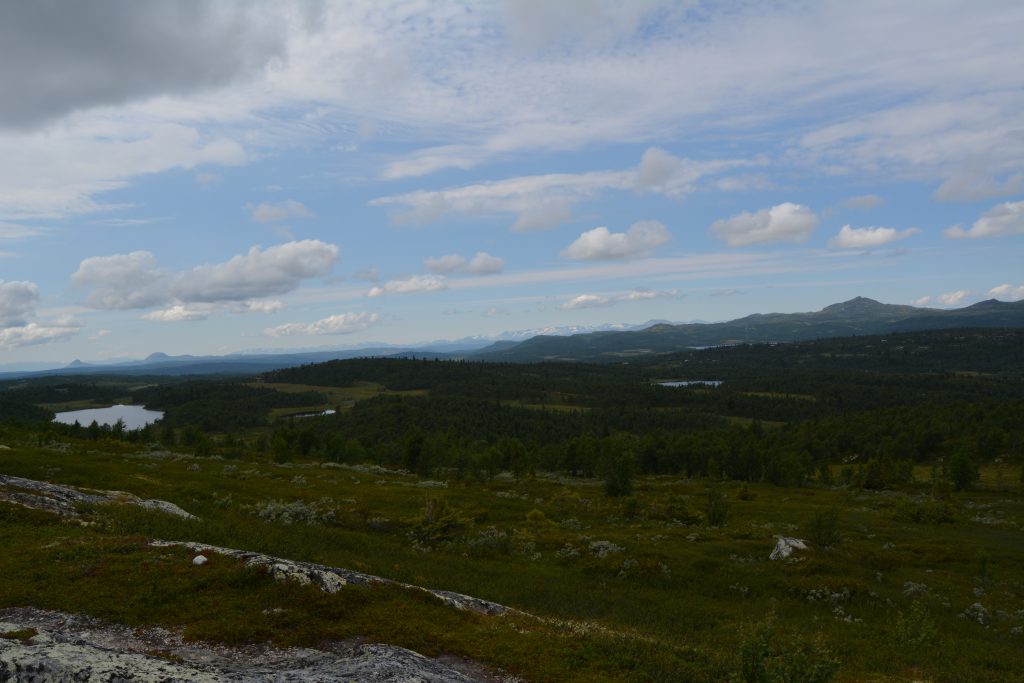 Spåtind er en fantastisk topptur med barn og hund.