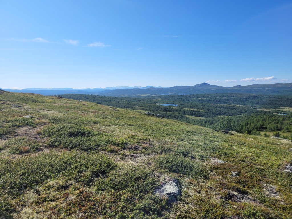 Spåtind er en fantastisk topptur med barn og hund.