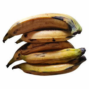 Banane Plantin