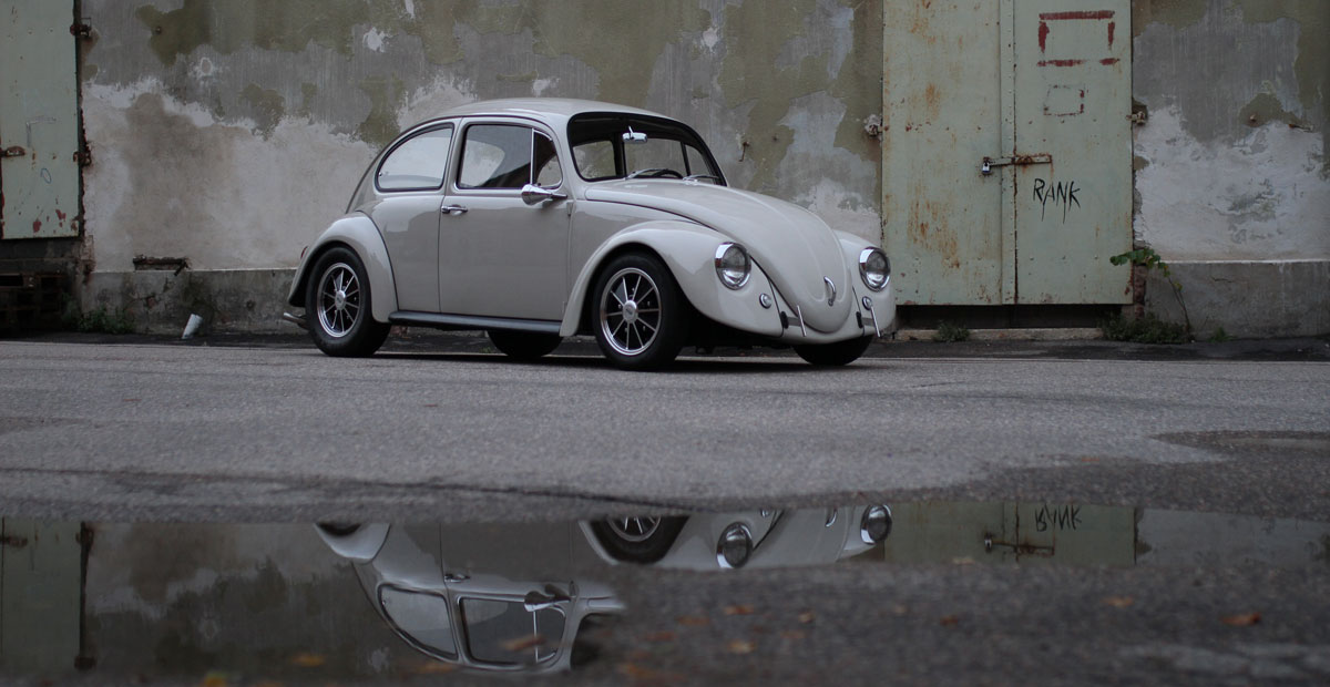 Front-image-CAl-look-beetle