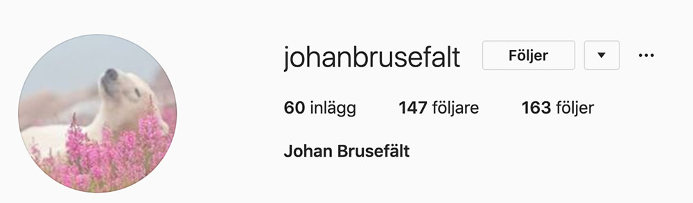 Johan Brusefälts instagram account