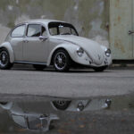 California Look Beetle 1967