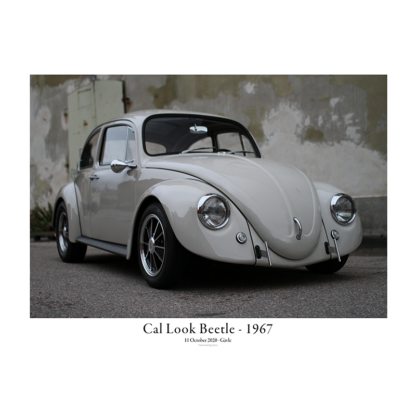 Cal Look Beetle - 1967 - Standing full picture
