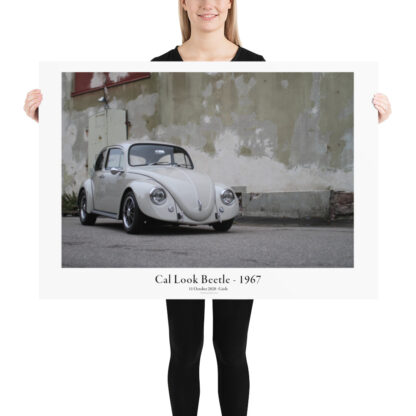 Cal Look Beetle - 1967 - Standing alone 100x70