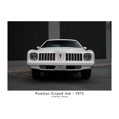 Pontiac-grand-am-1975-Front-with-text