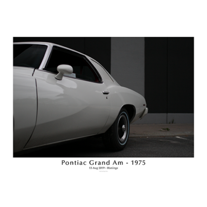 Pontiac-grand-am-1975-Left-rear-with-text