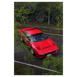 Ferrari-308-GTB-QV-Behind-leaves