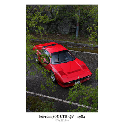 Ferrari-308-GTB-QV-Behind-leaves-with-text