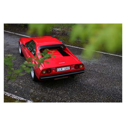 Ferrari-308-GTB-QV-Rear-behind-leaves