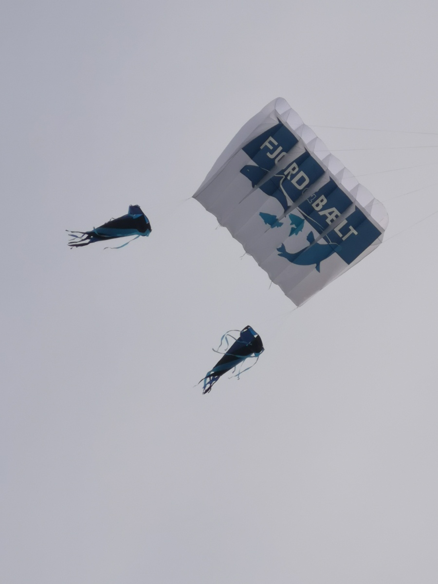 Fjord and bælt kite
