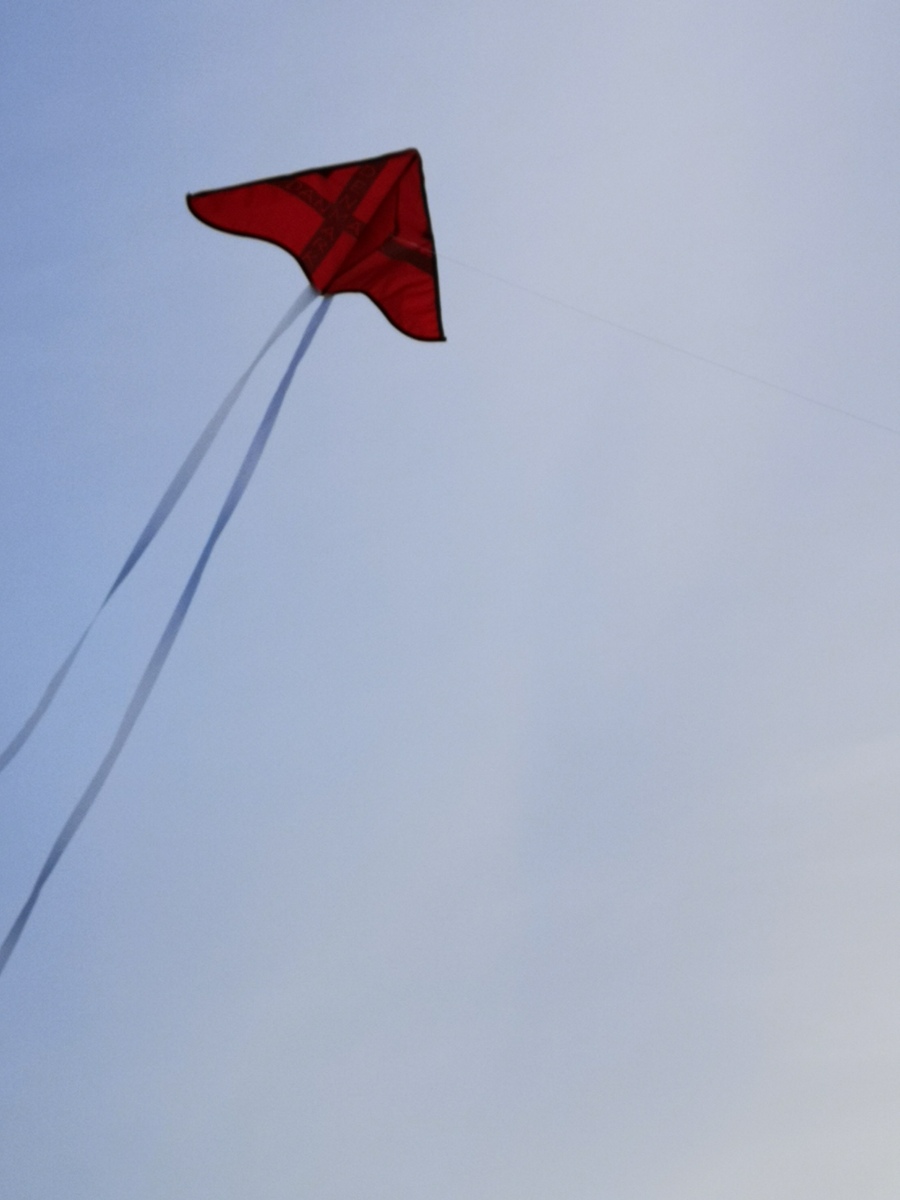 Small Denmark kite
