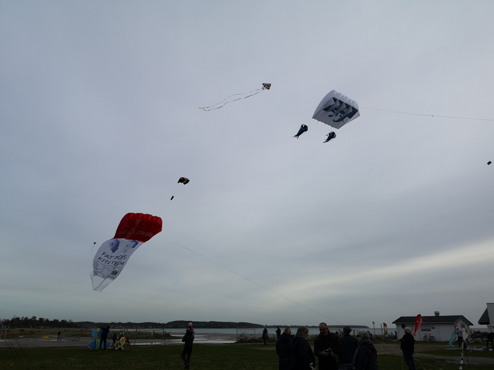 Pilot kites