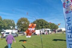 Drying tiger