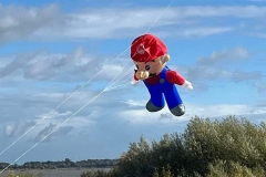 Mario Brother