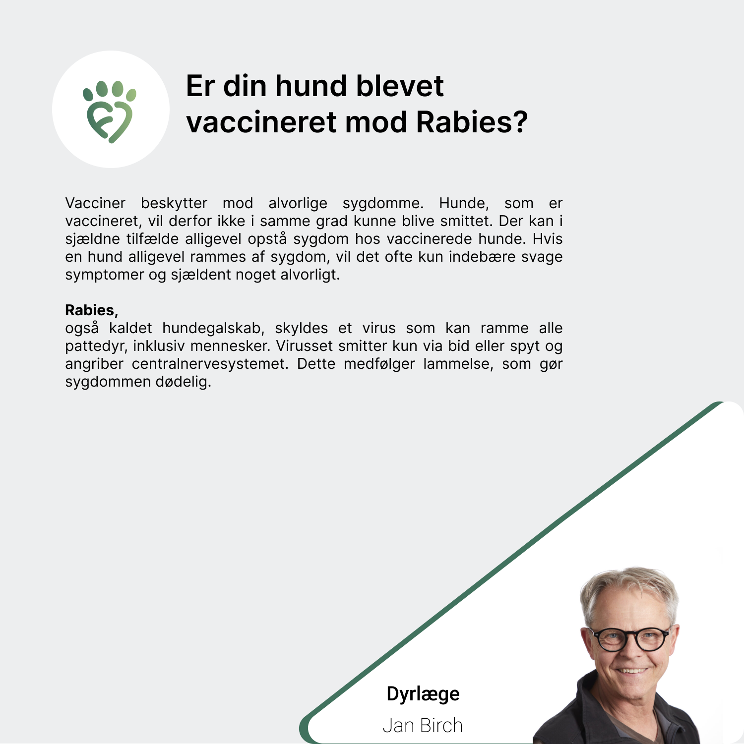 Er din hund blevet vaccineret mod Rabies_