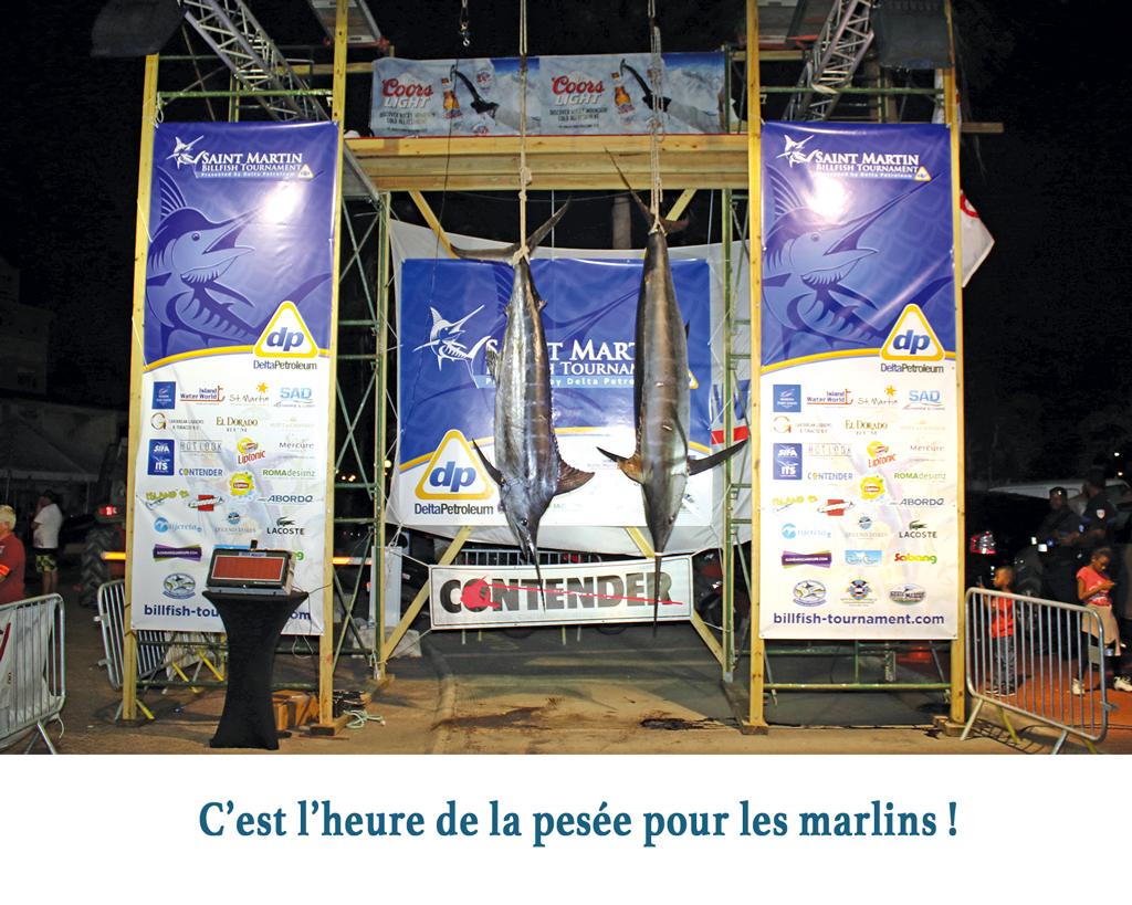 Blue Marlin Tournament Edition Canons de fête - 2 Guadeloupe
