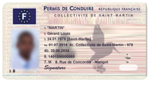 faux permis de conduire - Saint-Martin Breaking News