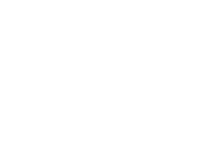 auto-vestergaard