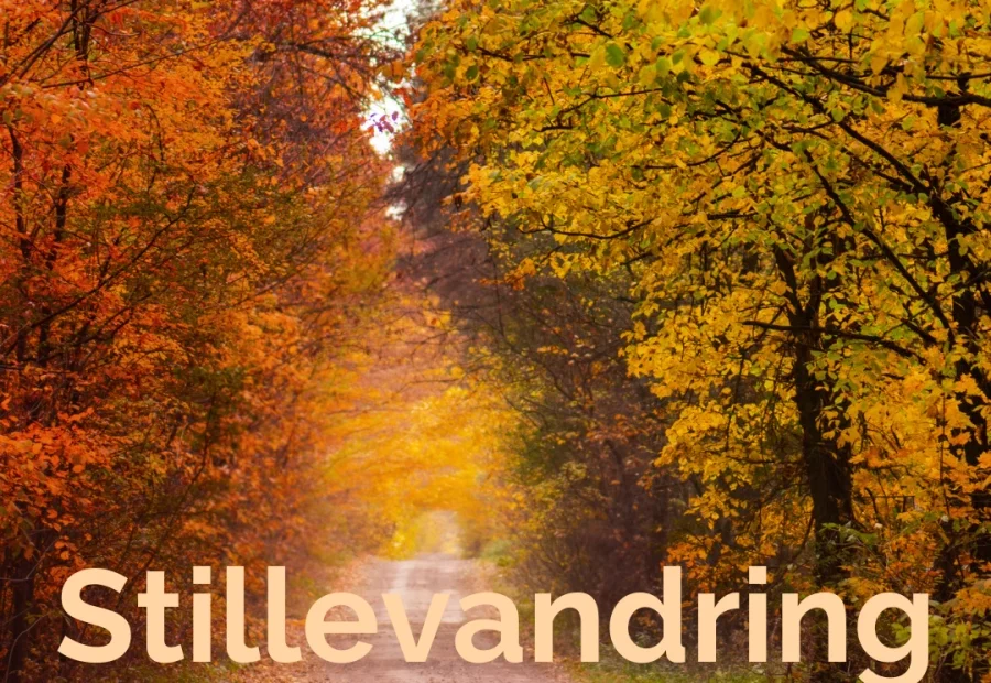 Stillevandring for kvinder