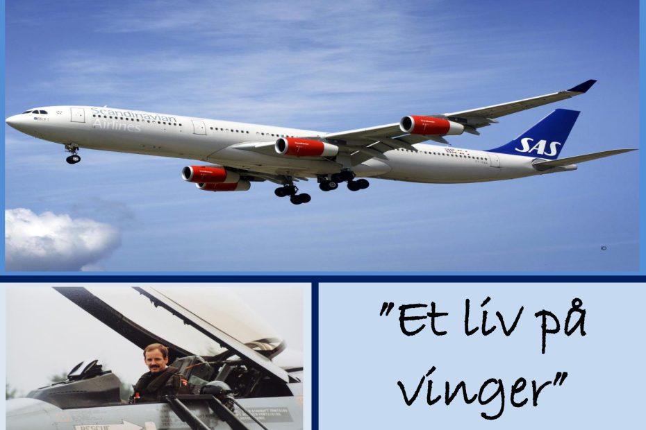 livet set fra pilotens sæde