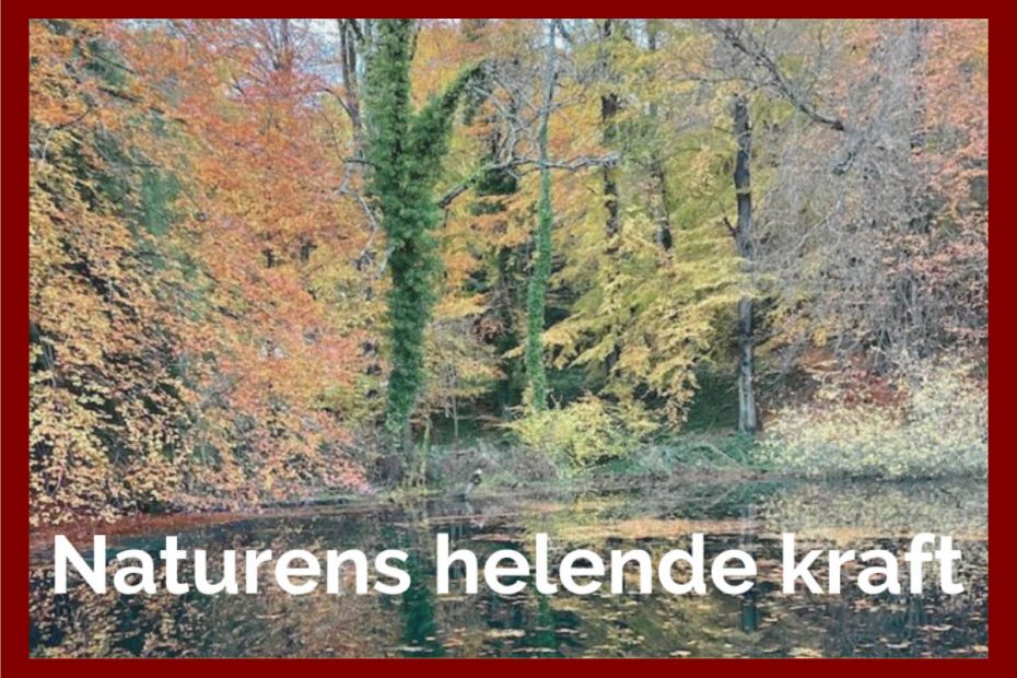 Naturens helende kraft