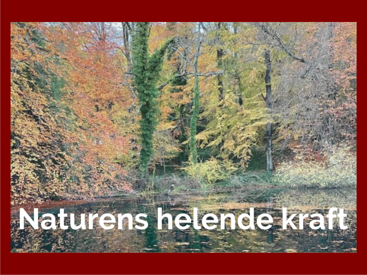 Naturens helende kraft