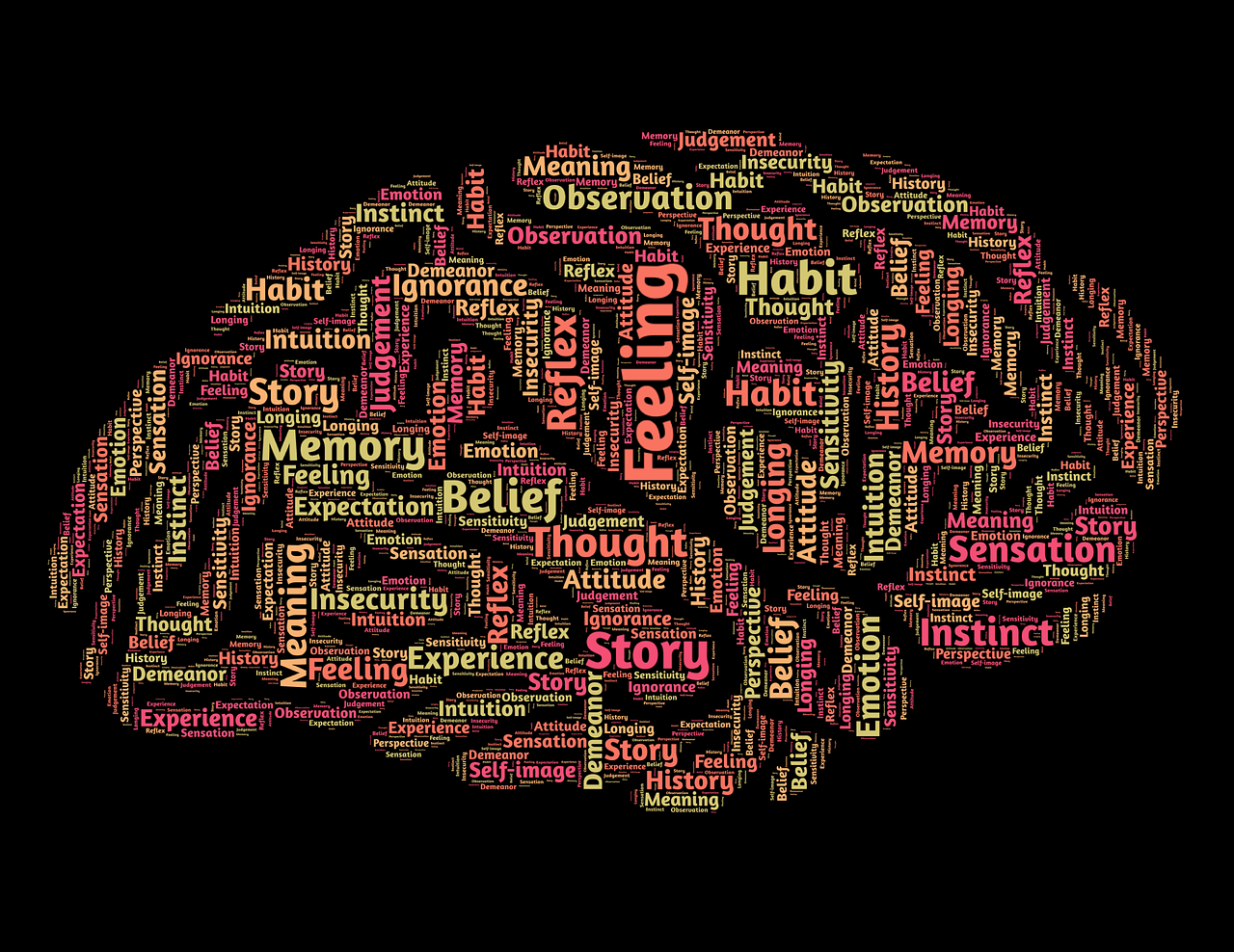 Decoding the Amygdala's Role in the Perplexing World of OCD