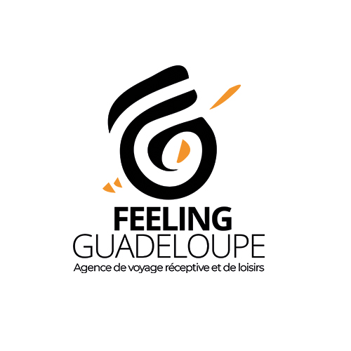 Logo de l'agence Feeling Guadeloupe