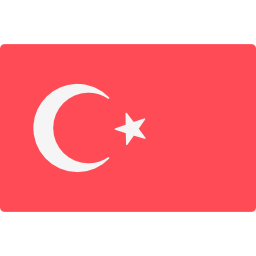 Türkçe