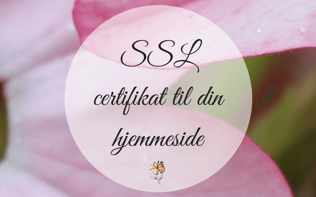 SSL certifikat til din WordPress hjemmeside