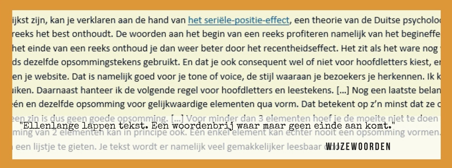 "Ellenlange lappen tekst. Een woordenbrij waar maar geen einde aan komt." Quote van WijzeWoorden