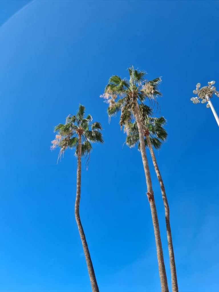 Vejret på Tenerife. Blå himmel