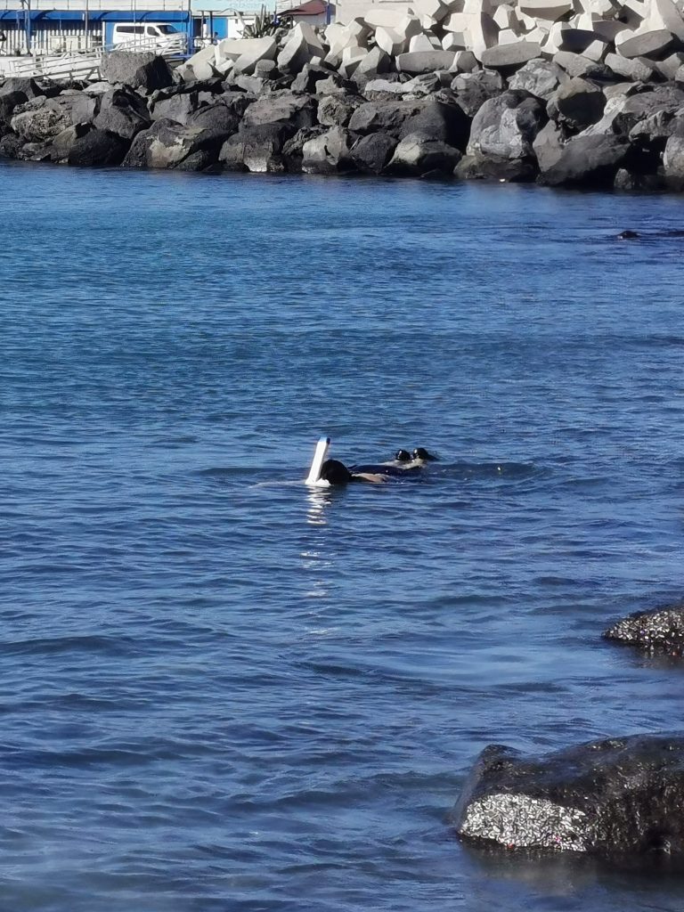 Playa de la Pinta, Costa Adeje