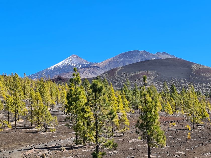 Det bedste fra Tenerife. Teide.