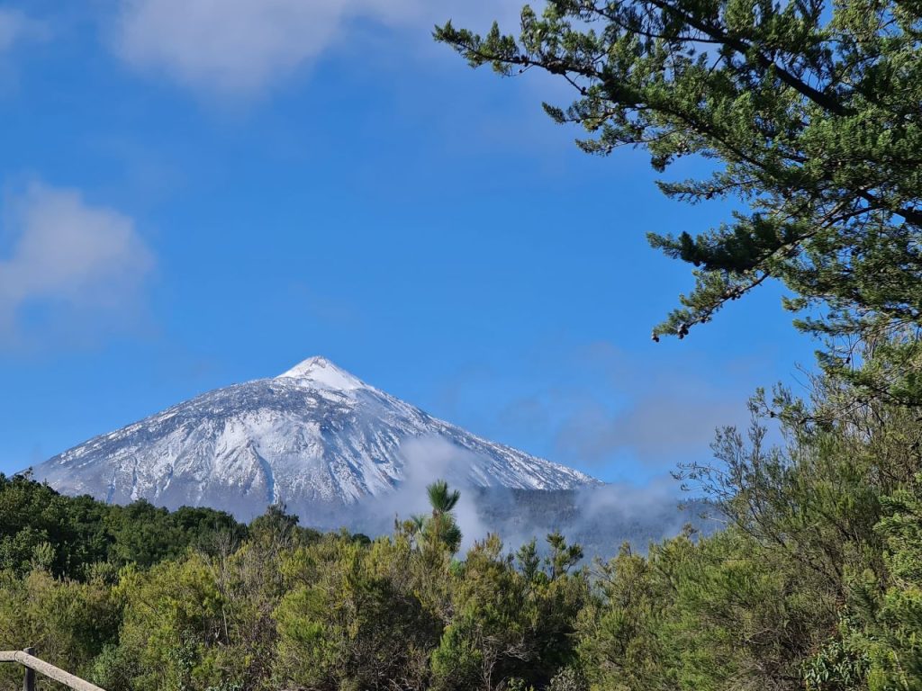 Det bedste fra Tenerife. Teide