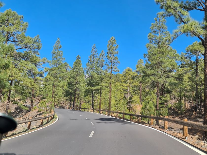 På vej ned. Teide. Vilde vulkaner i skyernes top