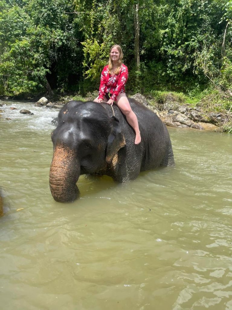 Ride på ryggen af en elefant. Phuket, Thailand