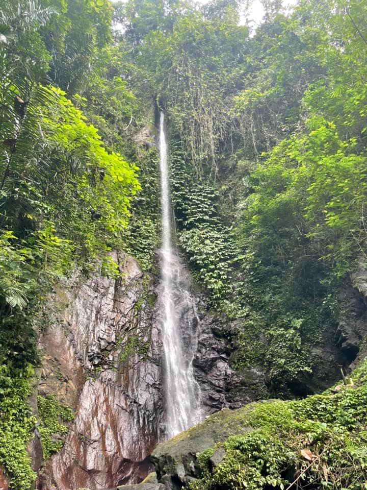 Jagasatru vandfaldet. Sidemen, Bali, Indonesien