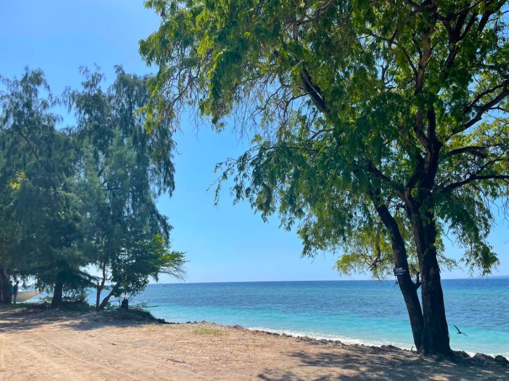 Indonesien. Gili øerne. smuk strand med palmer.