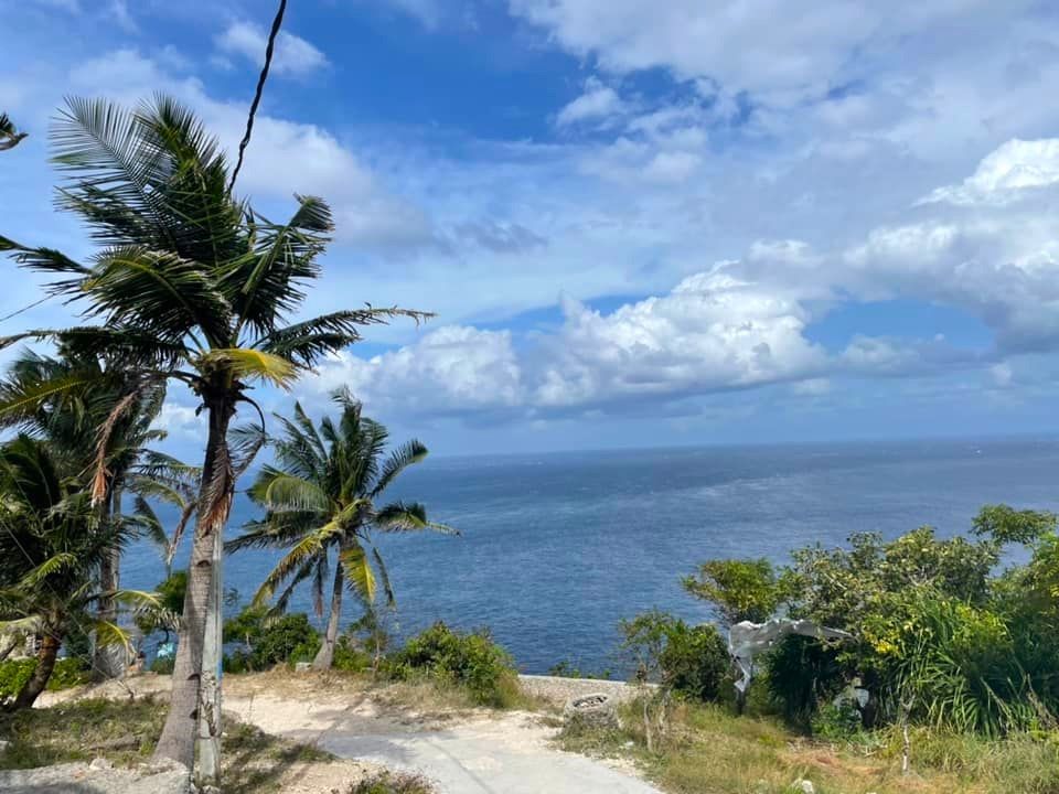 Indonesien. Gili øerne. smuk strand med palmer.