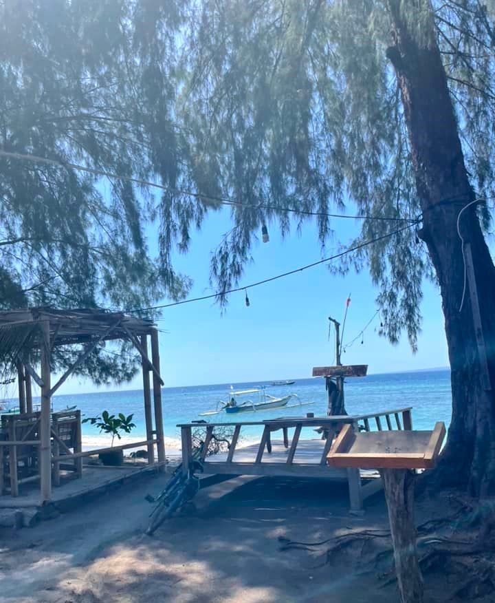 Indonesien. Gili øerne. smuk strand med palmer.