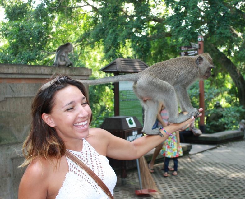 Monkey Forest på Bali. En abe kravler på armen af en dame