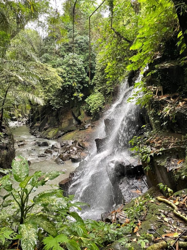 Smuk vandfaldstur på Bali