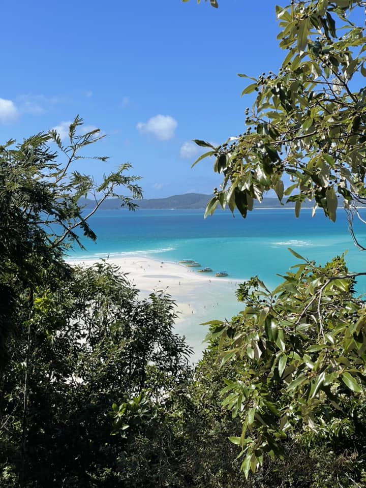 Withsundays og Airlie beach. Whitehaven beach.