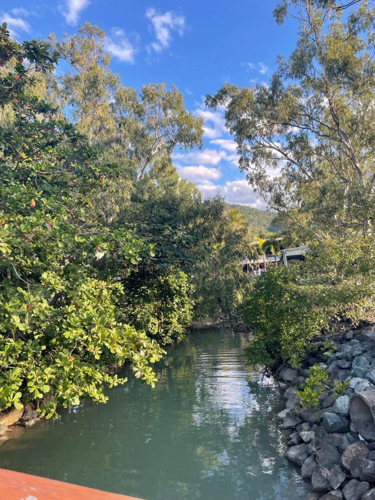 Withsundays og Airlie beach. Strandpromenaden i Airlie beach