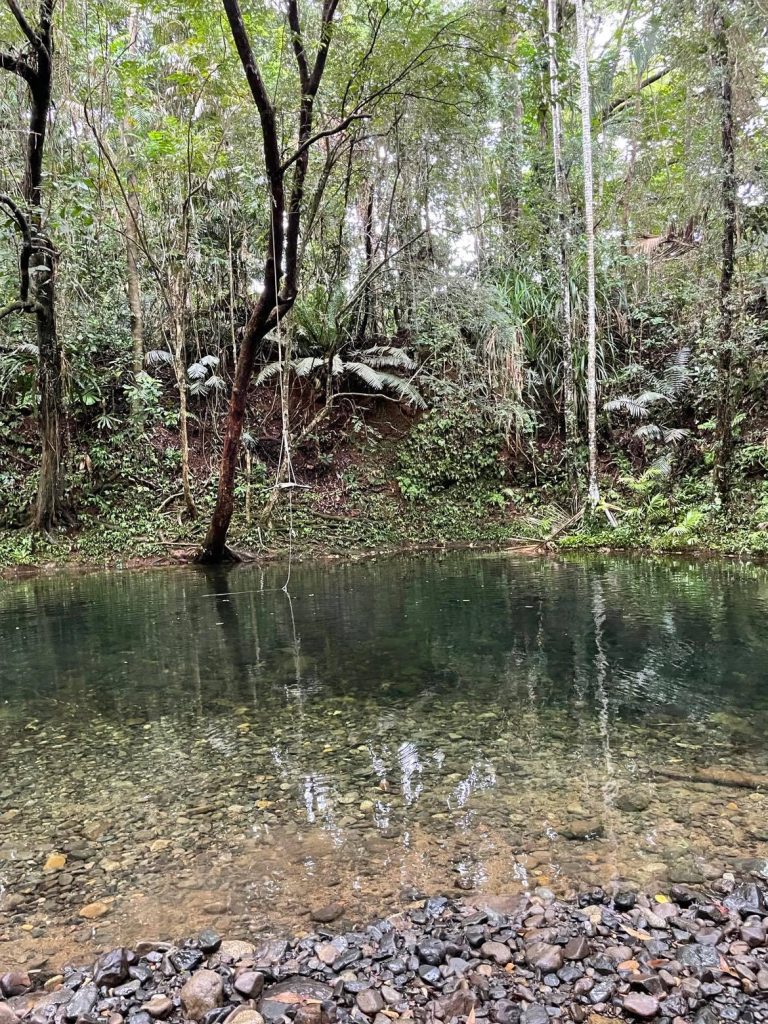 Daintree National Park. Regnskov ved Cairns. På billedet ses en naturlig pool i regnskoven, hvor man kan bade.