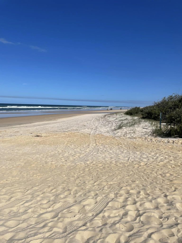 Fraser Island. stranden