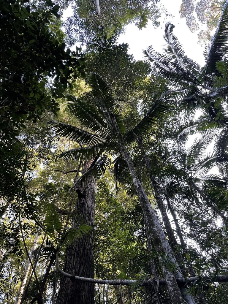 Fraser Island.